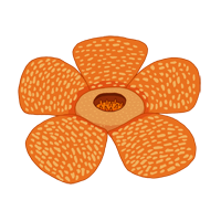 corpse flower
