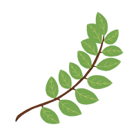 laurelbranch